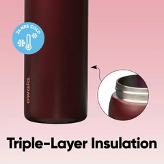 Owala FreeSip Stainless Steel Water Bottle 32 oz Black Cherry