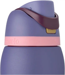 Owala FreeSip Stainless Steel Water Bottle, Blue Jay, 32 oz